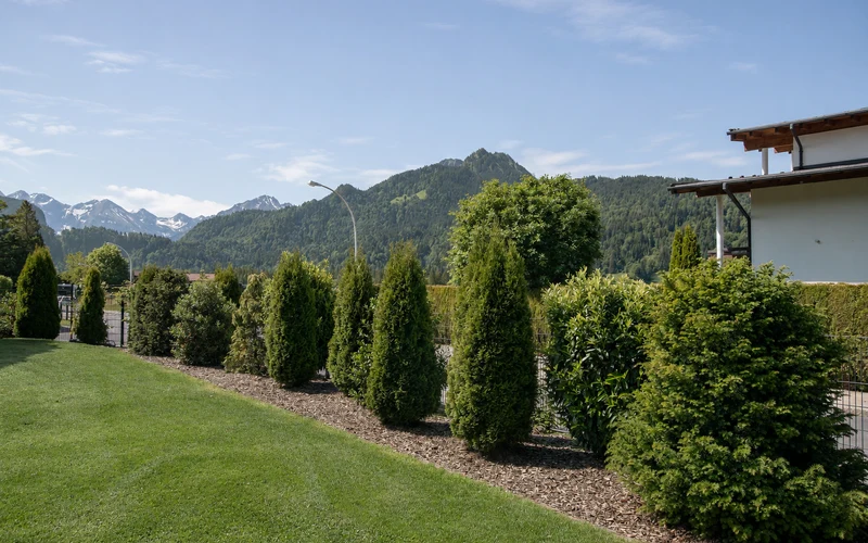 Gepflegter Rasen mit Thuja-Hecke und Bepflanzung vor Allgäuer Bergpanorama